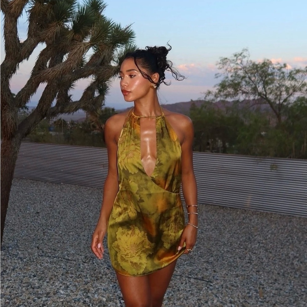 Tiger Mist Monroe Dress